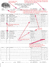 moto sheet example 2 group main.gif (32410 bytes)