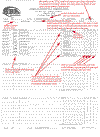 moto sheet example full gate.gif (32463 bytes)